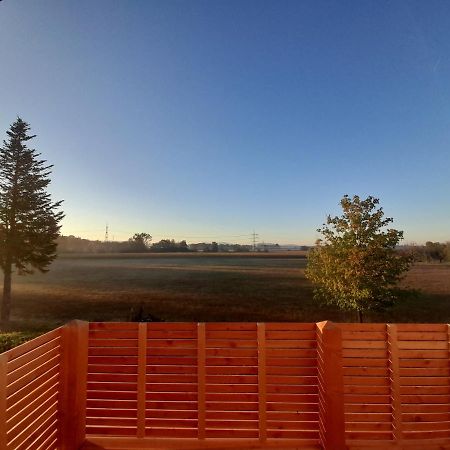 Badischer Neubau-Ruhe-Kunst-Natur Rheinau Zewnętrze zdjęcie