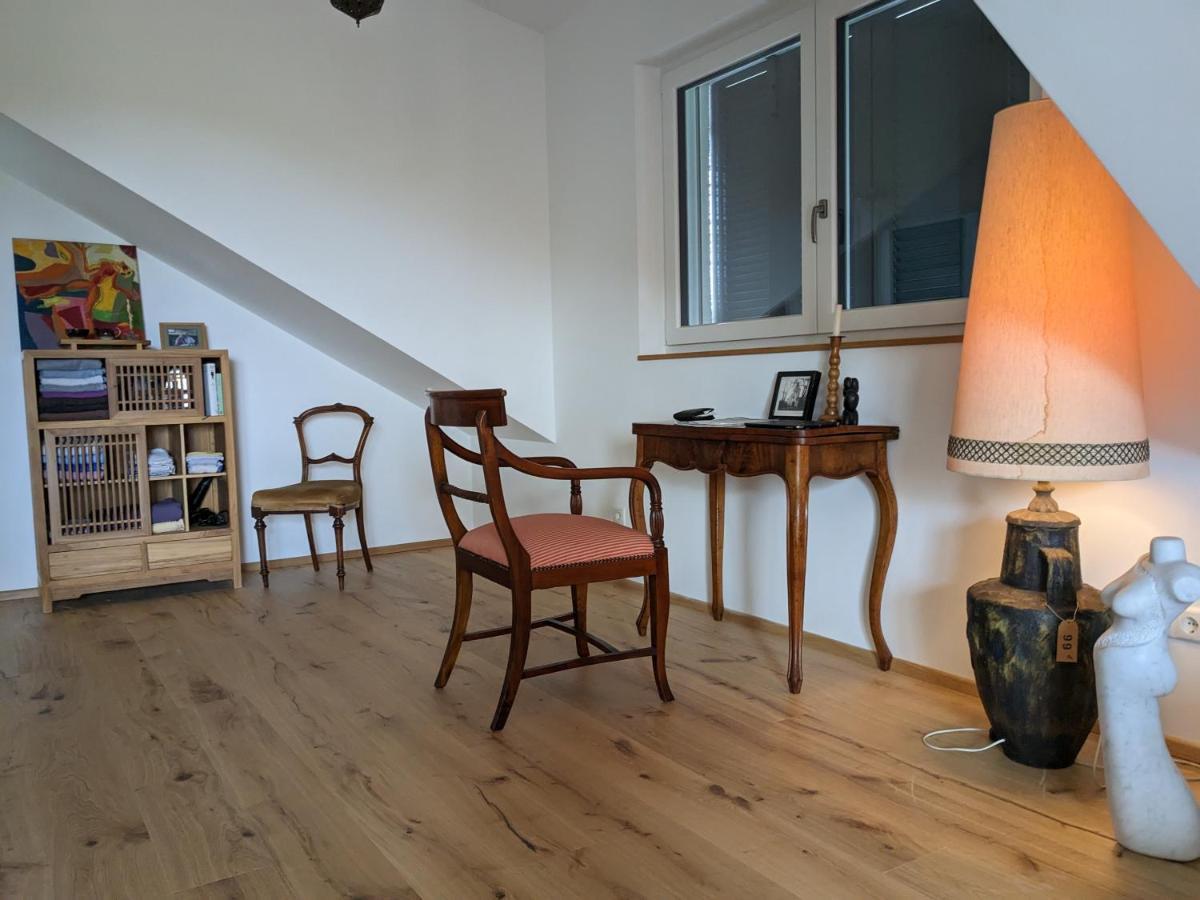 Badischer Neubau-Ruhe-Kunst-Natur Rheinau Zewnętrze zdjęcie