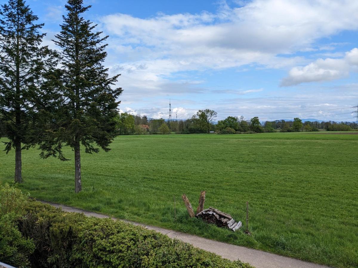 Badischer Neubau-Ruhe-Kunst-Natur Rheinau Zewnętrze zdjęcie