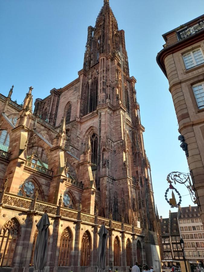 Badischer Neubau-Ruhe-Kunst-Natur Rheinau Zewnętrze zdjęcie