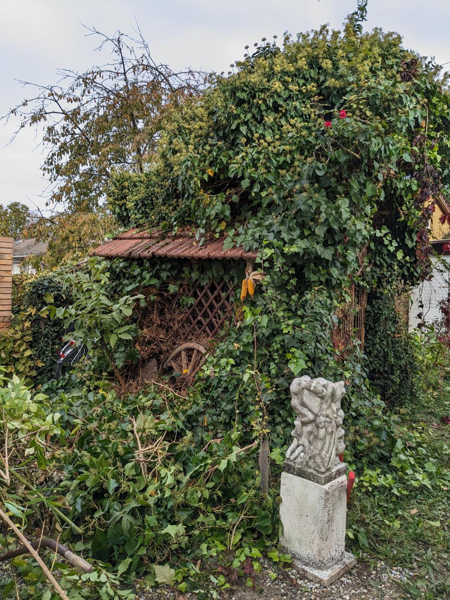 Badischer Neubau-Ruhe-Kunst-Natur Rheinau Zewnętrze zdjęcie