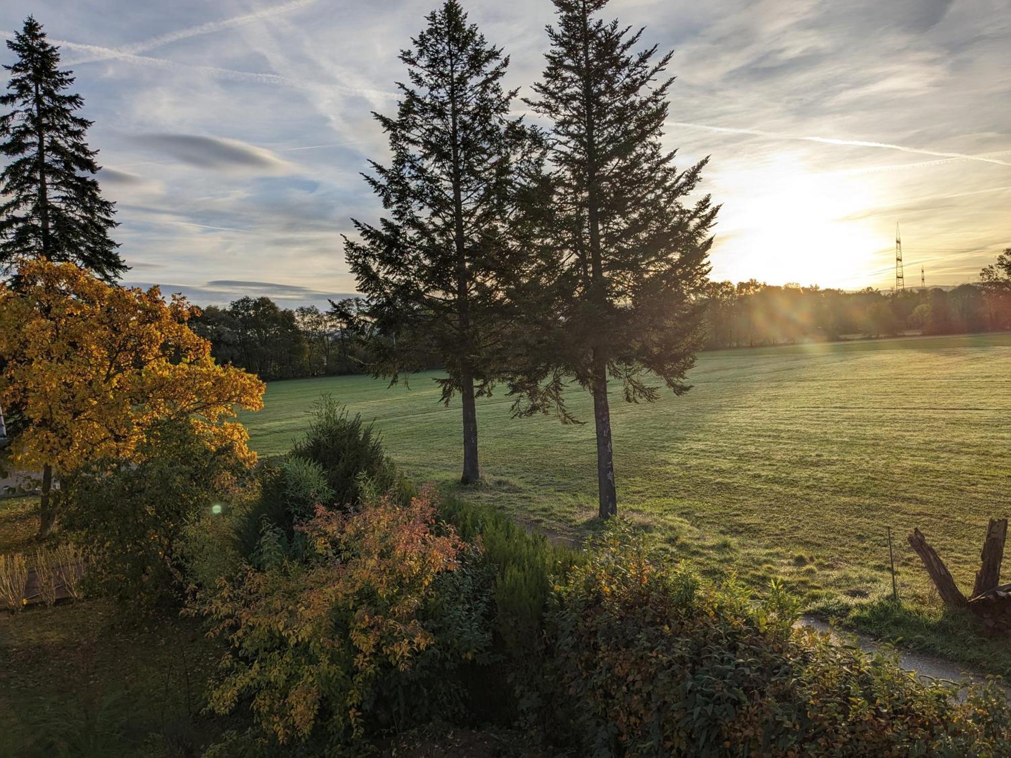 Badischer Neubau-Ruhe-Kunst-Natur Rheinau Zewnętrze zdjęcie