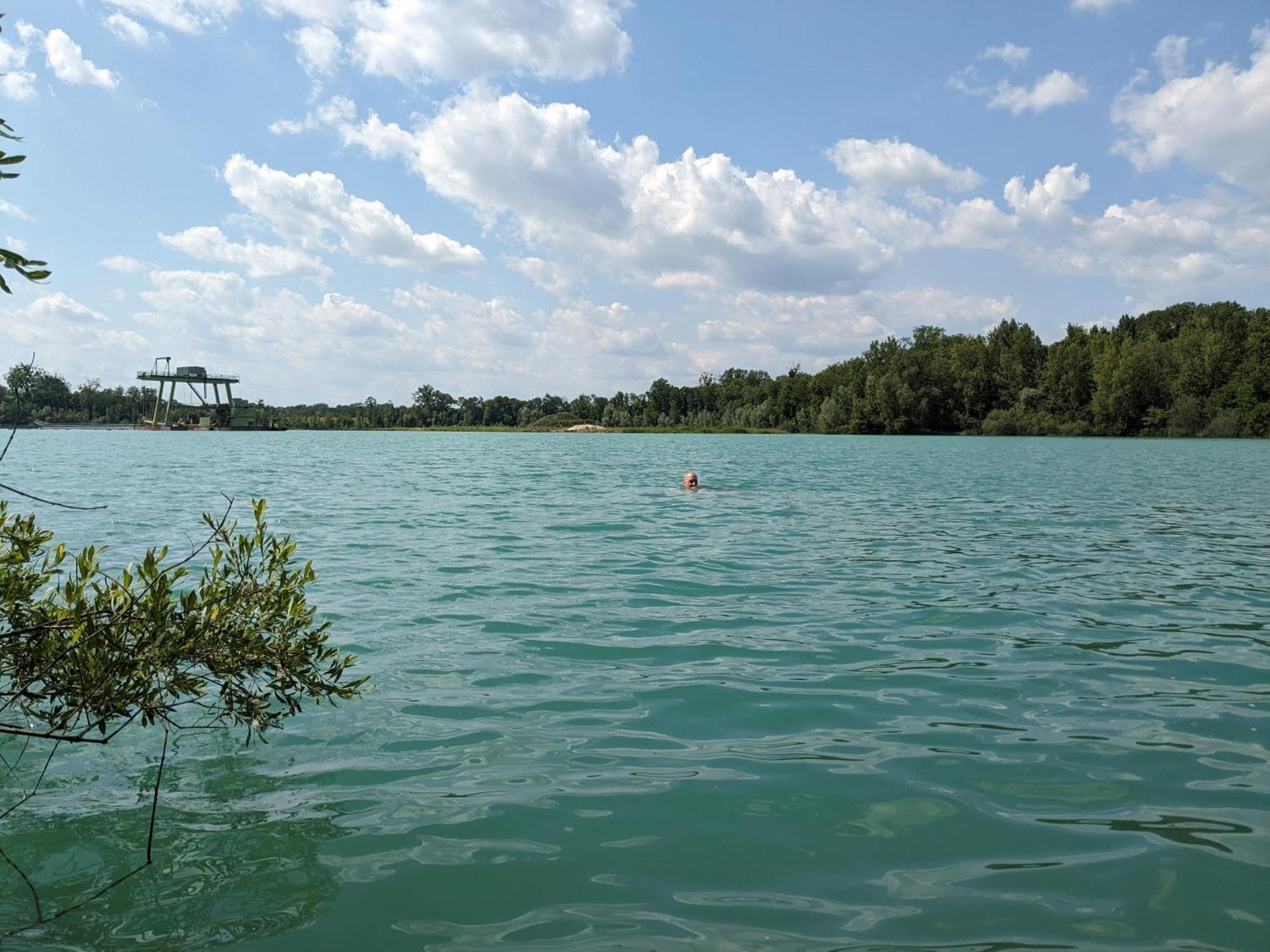 Badischer Neubau-Ruhe-Kunst-Natur Rheinau Zewnętrze zdjęcie