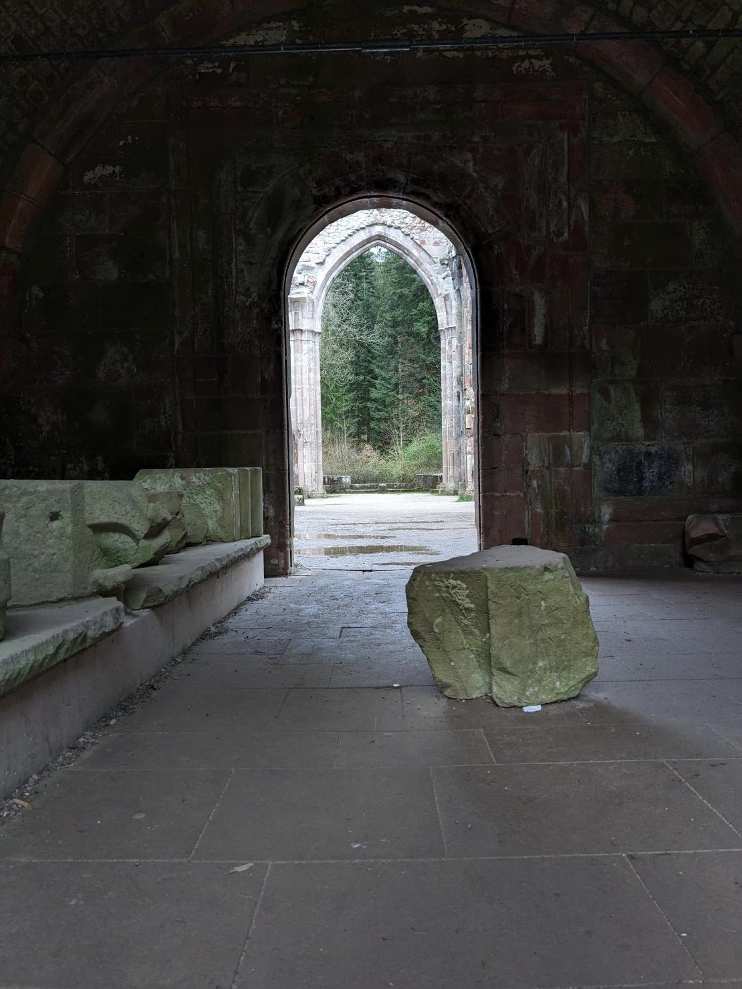 Badischer Neubau-Ruhe-Kunst-Natur Rheinau Zewnętrze zdjęcie