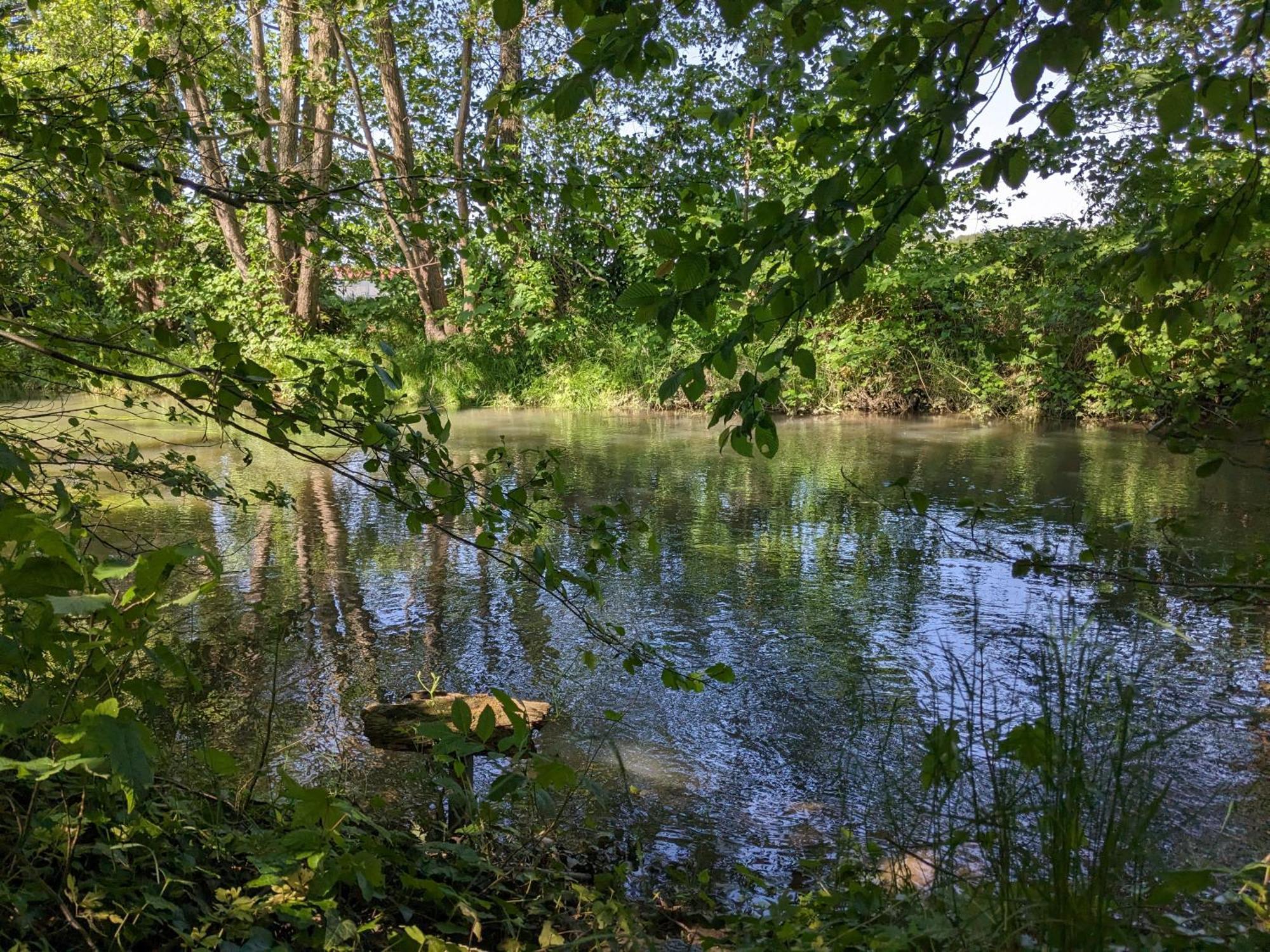 Badischer Neubau-Ruhe-Kunst-Natur Rheinau Zewnętrze zdjęcie