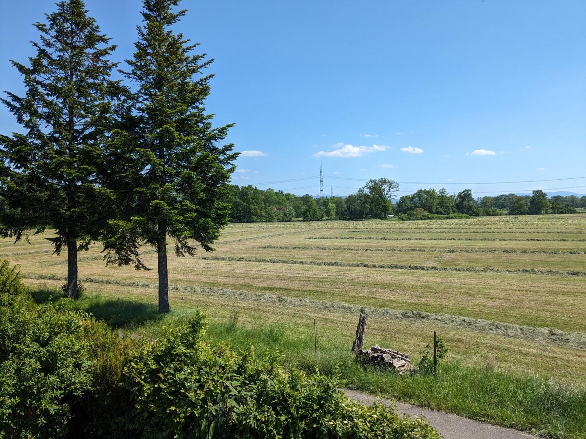 Badischer Neubau-Ruhe-Kunst-Natur Rheinau Zewnętrze zdjęcie