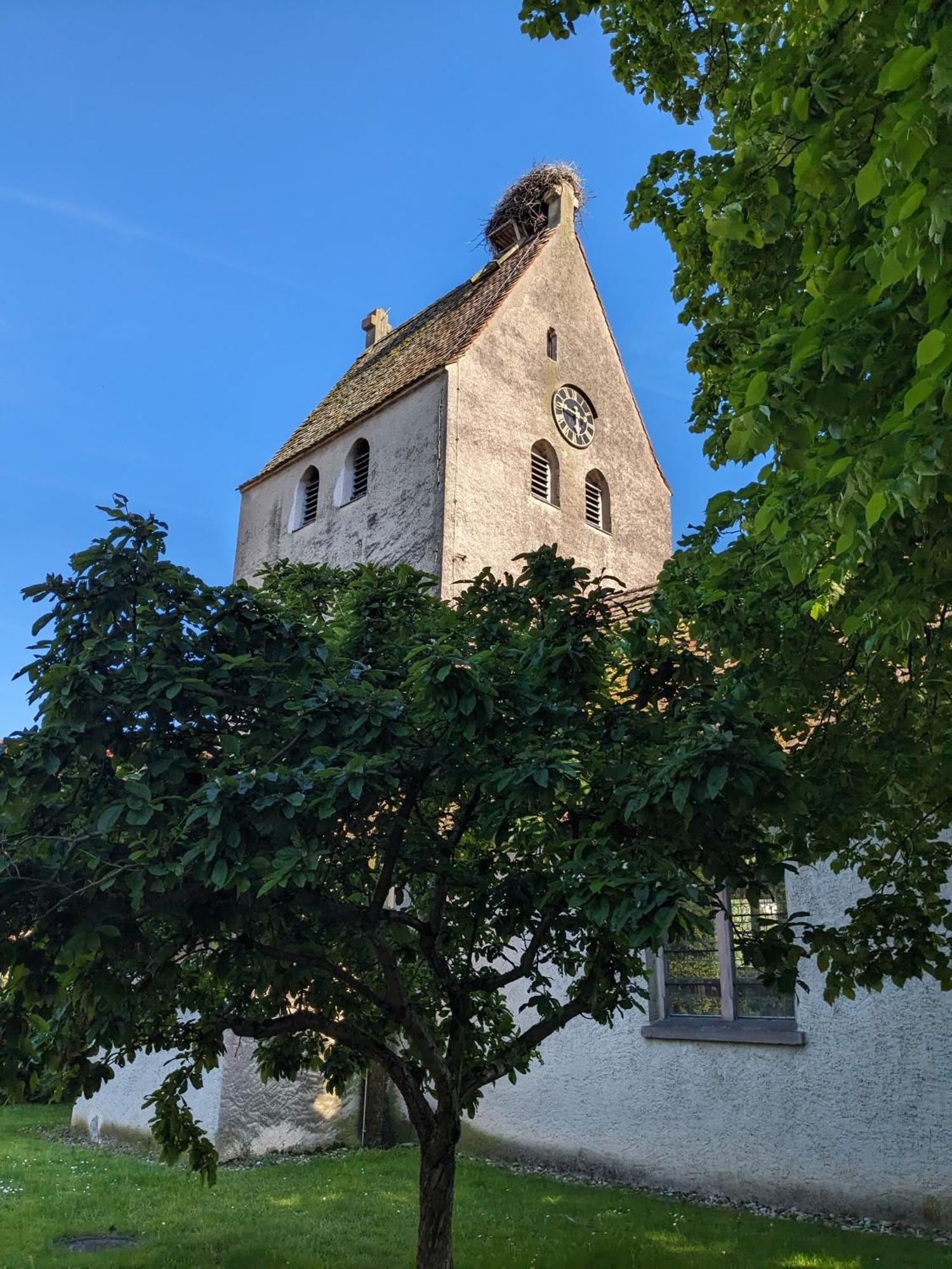 Badischer Neubau-Ruhe-Kunst-Natur Rheinau Zewnętrze zdjęcie